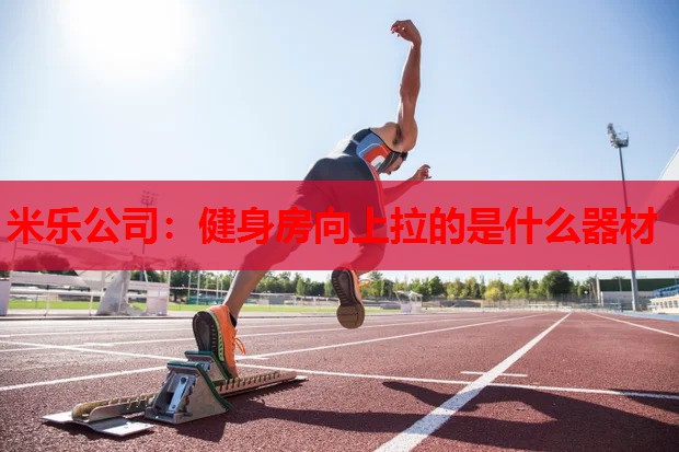 米乐公司:健身房向上拉的是什么器材