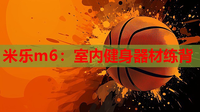米乐m6:室内健身器材练背