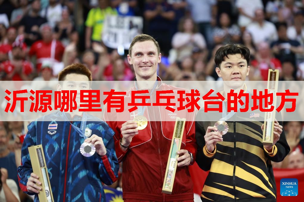 沂源哪里有乒乓球台的地方