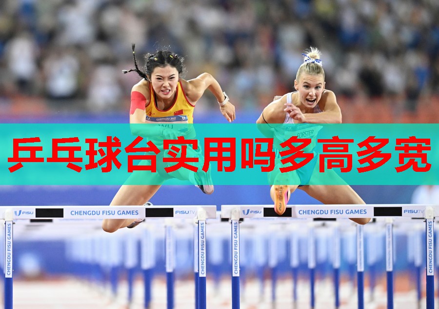乒乓球台实用吗多高多宽