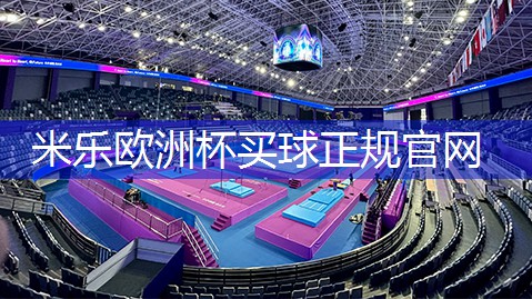 乒乓球台侧边袋子怎么拆