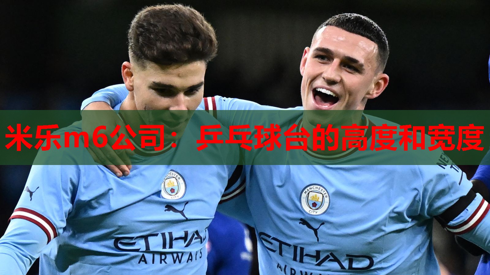 乒乓球台的高度和宽度