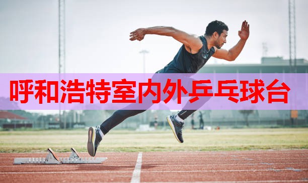 呼和浩特室内外乒乓球台