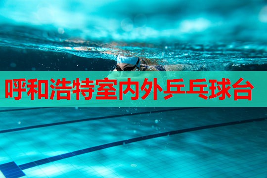 呼和浩特室内外乒乓球台
