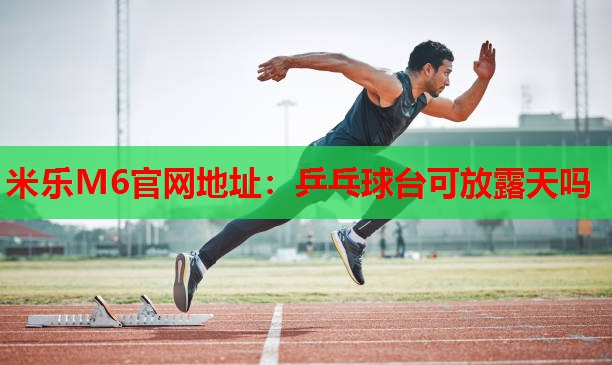 乒乓球台可放露天吗