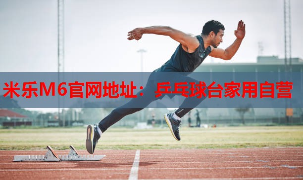 乒乓球台家用自营