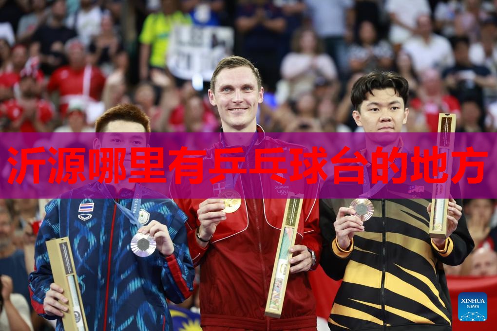 沂源哪里有乒乓球台的地方