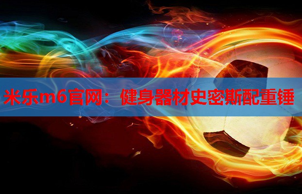 健身器材史密斯配重锤