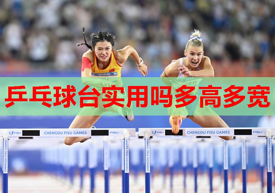 乒乓球台实用吗多高多宽